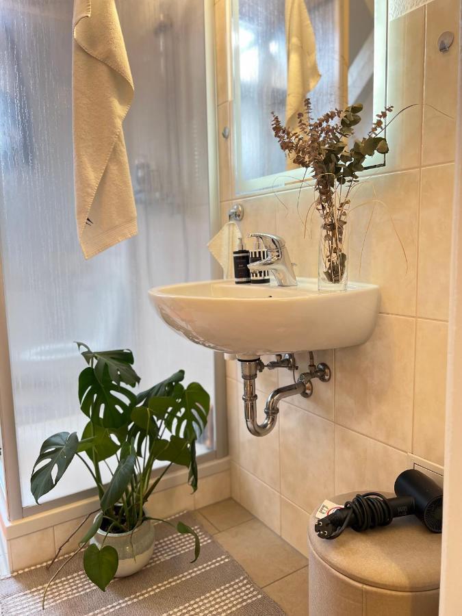 Boutique Appartement トルガウ エクステリア 写真